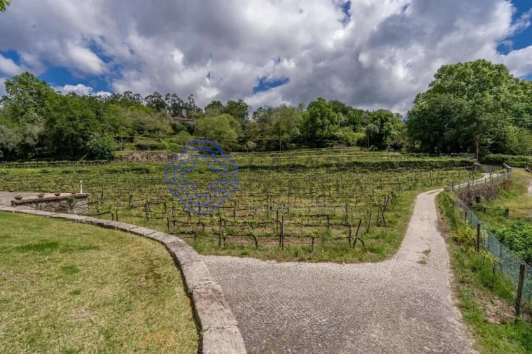 Quinta T3 para Venda em Bouro (Santa Maria) Foto 58