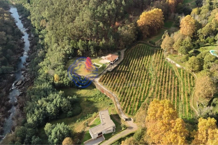 Quinta T3 para Venda em Bouro (Santa Maria)