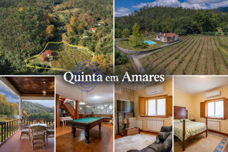 Quinta T3 para Venda em Bouro (Santa Maria) Foto 77