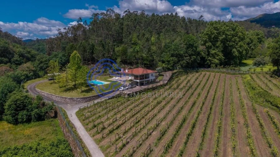 Quinta T3 para Venda em Bouro (Santa Maria) Foto 74