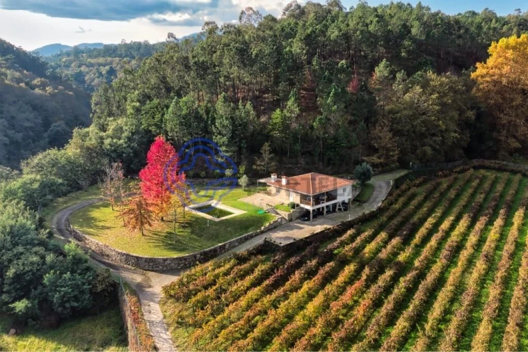 Quinta T3 para Venda em Bouro (Santa Maria) Foto 11