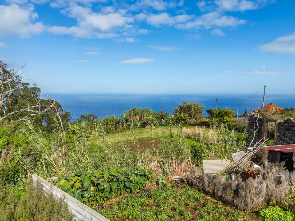 Moradia T3 para Venda em Porto Moniz Foto 46