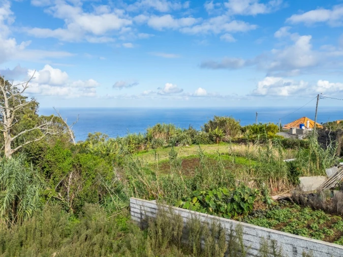 Moradia T3 para Venda em Porto Moniz Foto 45