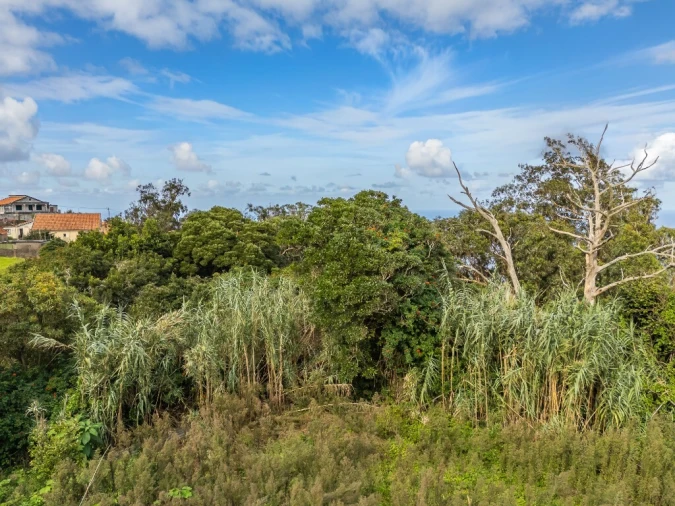 Moradia T3 para Venda em Porto Moniz Foto 44