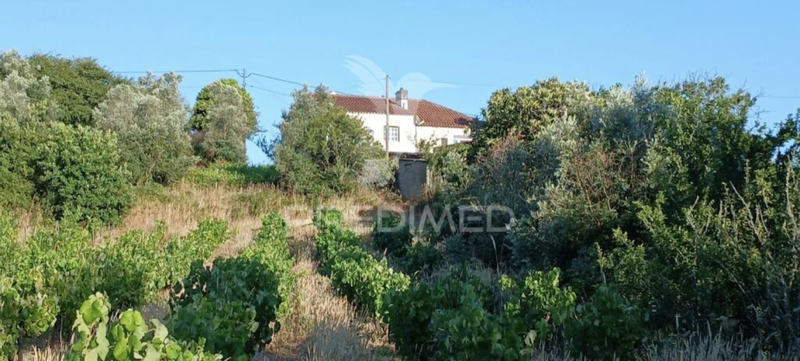 Moradia T4 para Venda em São João Baptista e Santa Maria dos Olivais Foto 13