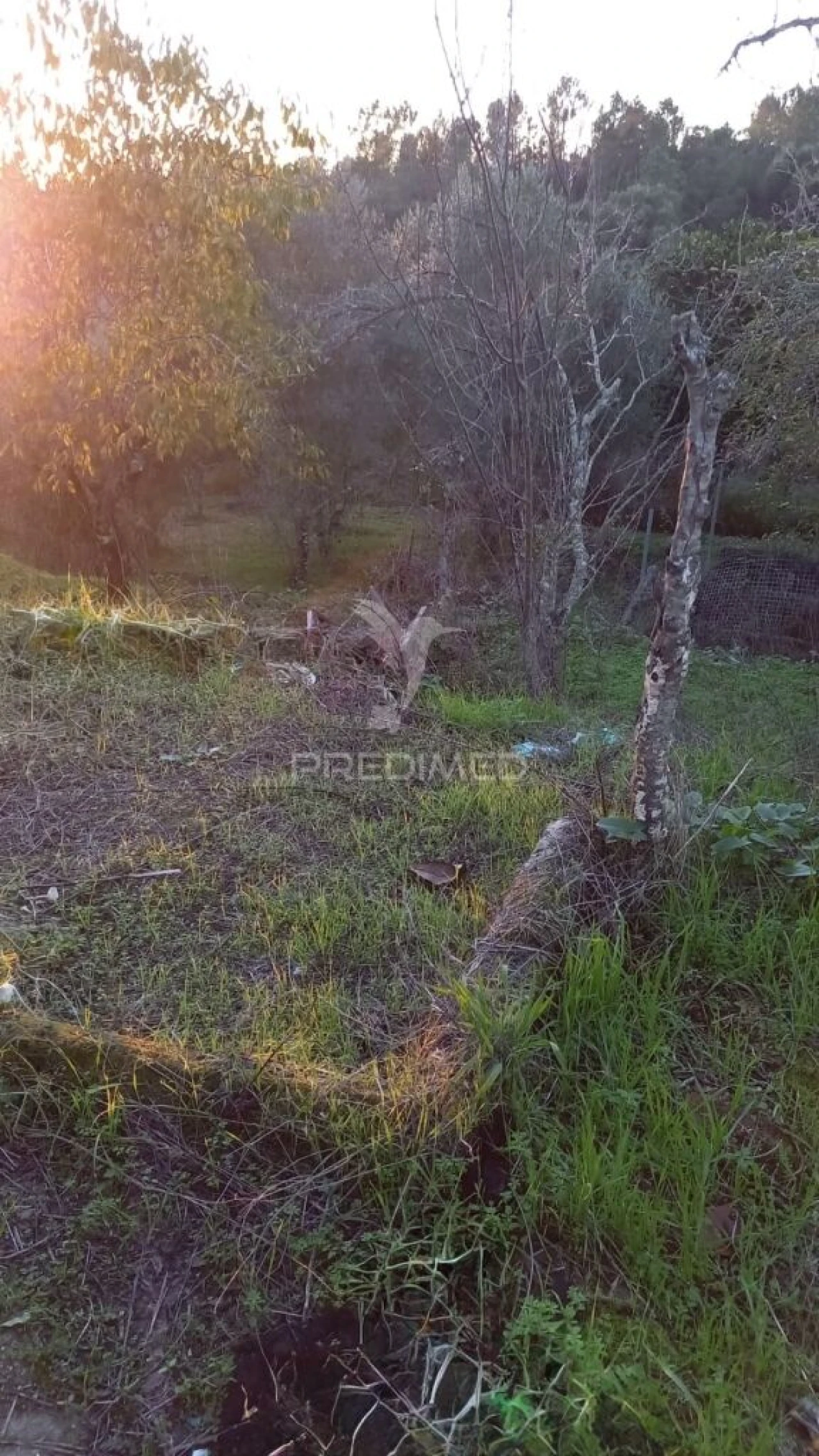 Moradia T4 para Venda em São João Baptista e Santa Maria dos Olivais Foto 20