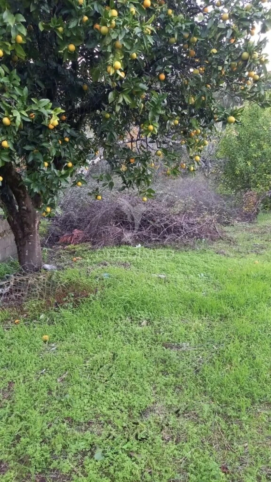 Moradia T4 para Venda em São João Baptista e Santa Maria dos Olivais Foto 14