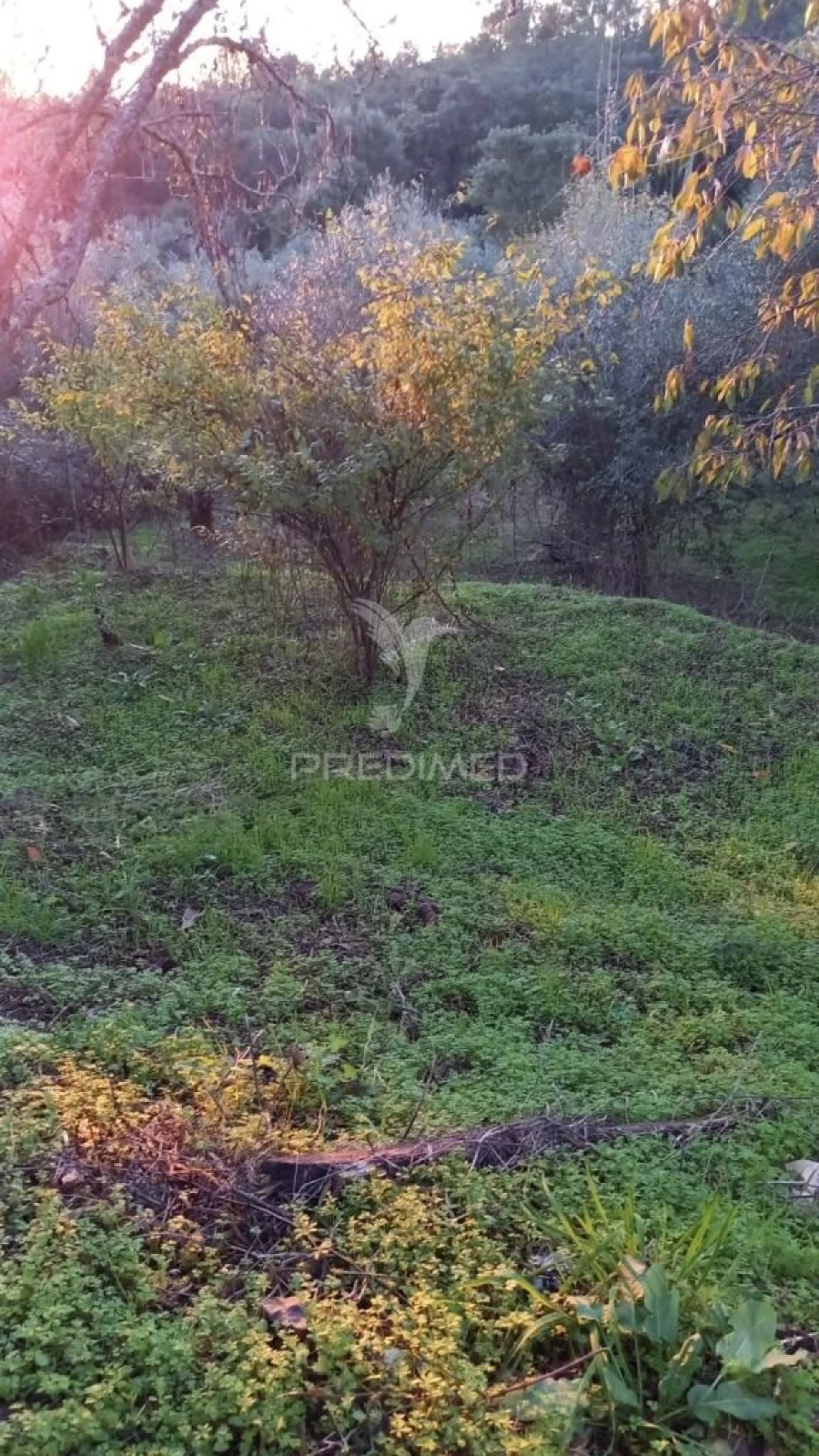 Moradia T4 para Venda em São João Baptista e Santa Maria dos Olivais Foto 16