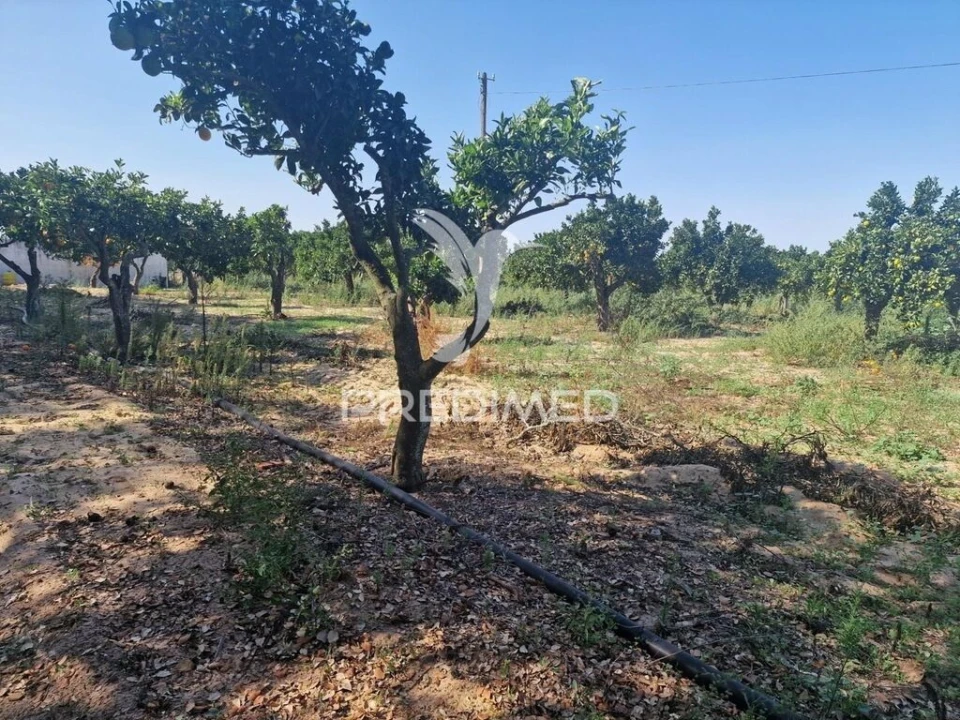 Quinta T6 para Venda em São Francisco da Serra Foto 17