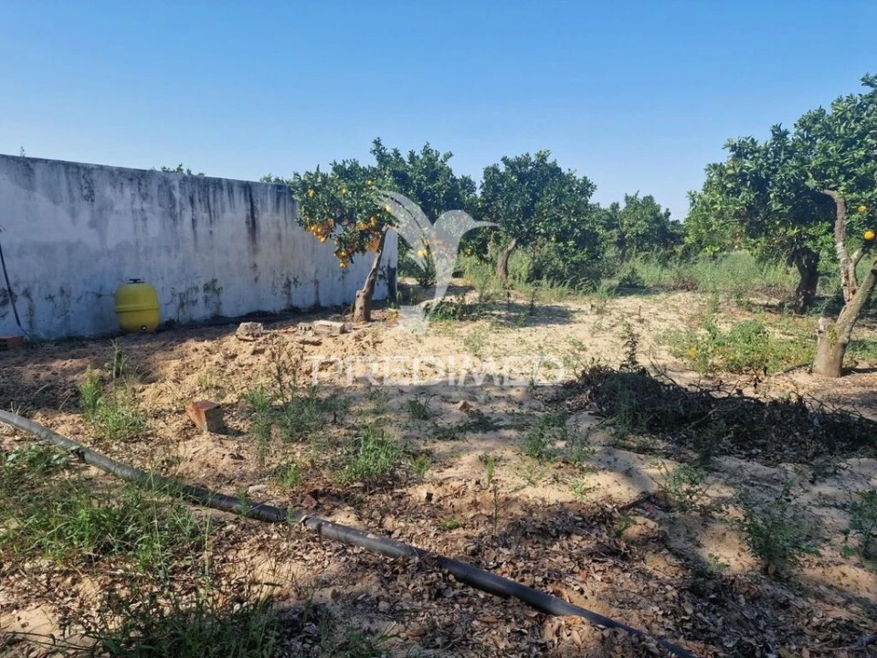 Quinta T6 para Venda em São Francisco da Serra Foto 19