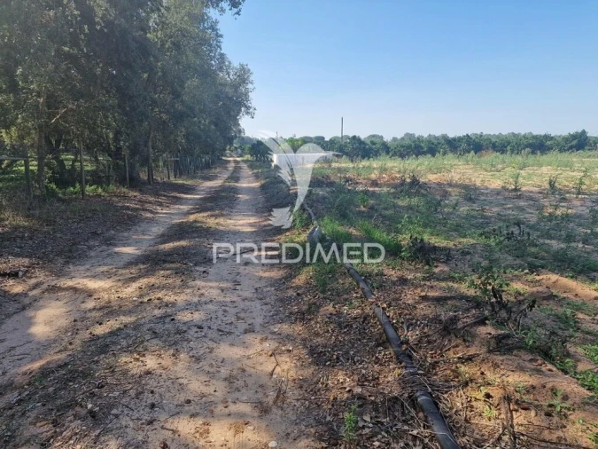 Quinta T6 para Venda em São Francisco da Serra Foto 16