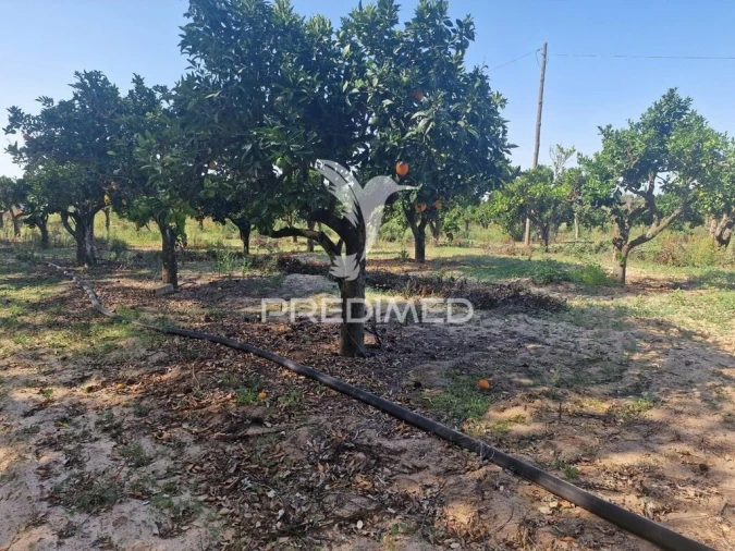 Quinta T6 para Venda em São Francisco da Serra Foto 18