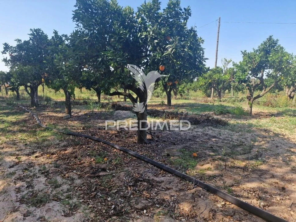 Quinta T6 para Venda em São Francisco da Serra Foto 18