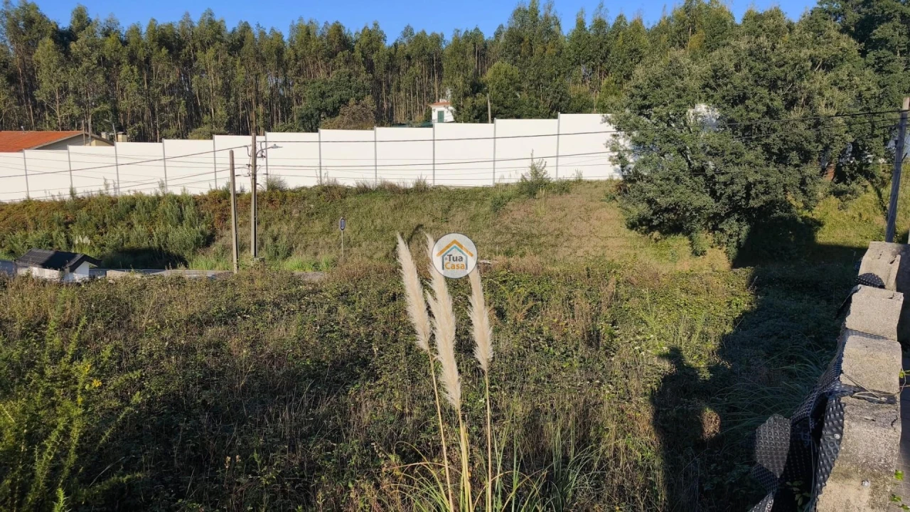 Terreno para Venda em Escapães Foto 13