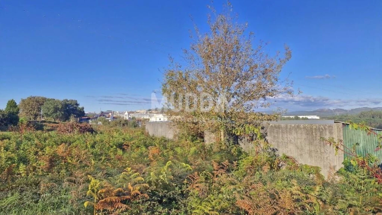 Terreno para Venda em Vila de Cucujães Foto 2