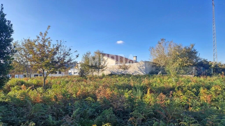 Terreno para Venda em Vila de Cucujães Foto 4