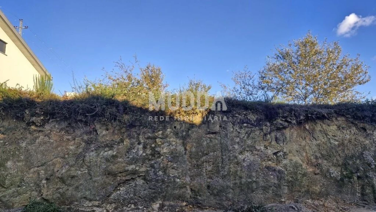 Terreno para Venda em Vila de Cucujães Foto 6