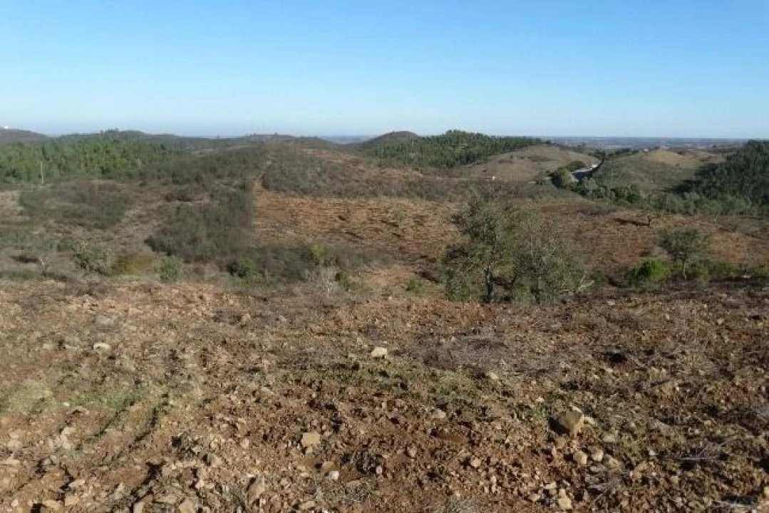 Terreno para Venda em Santana da Serra Foto 4