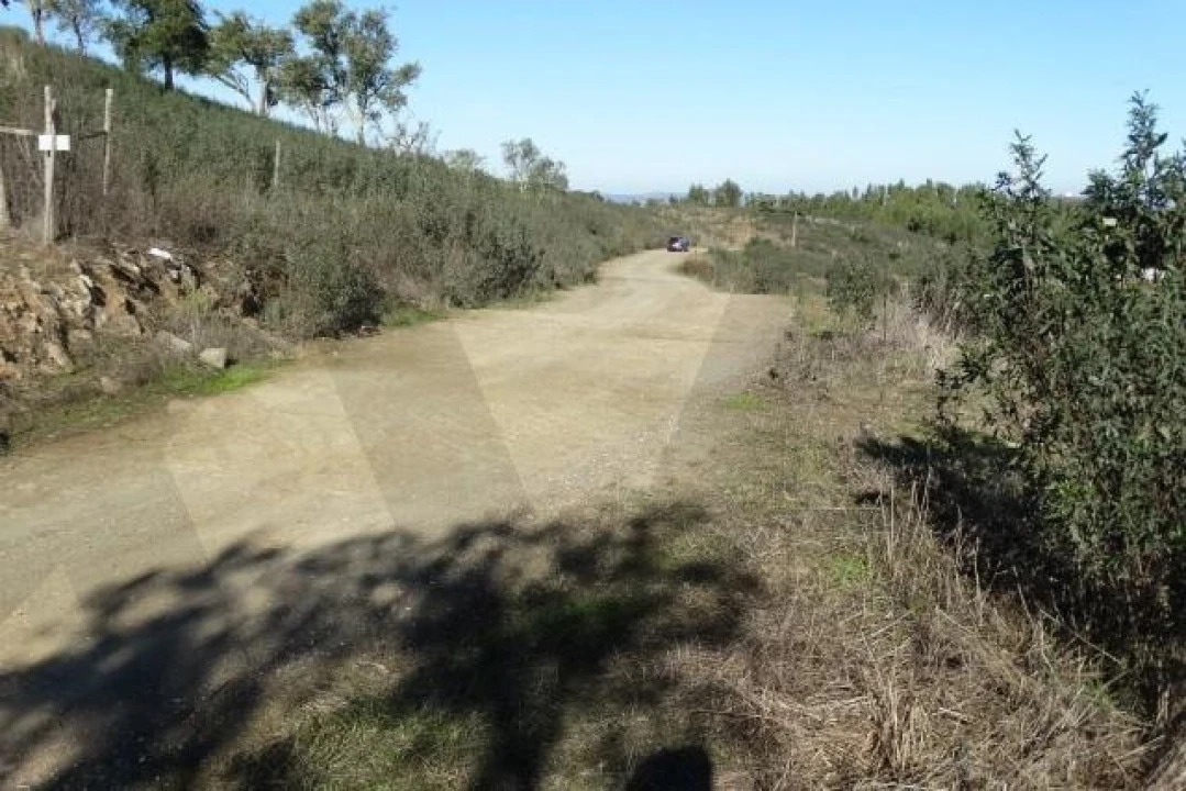 Terreno para Venda em Santana da Serra Foto 12