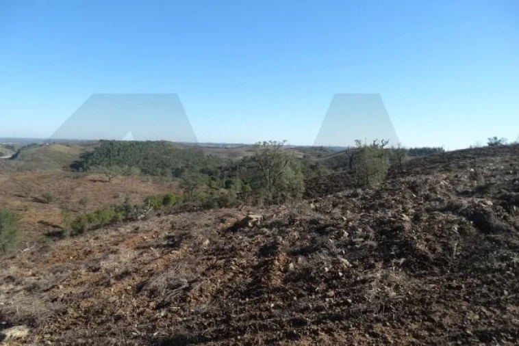 Terreno para Venda em Santana da Serra Foto 4