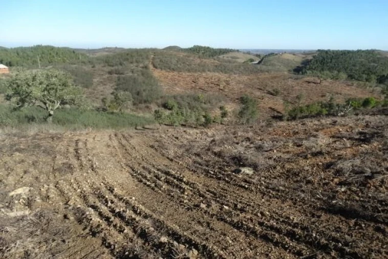 Terreno para Venda em Santana da Serra