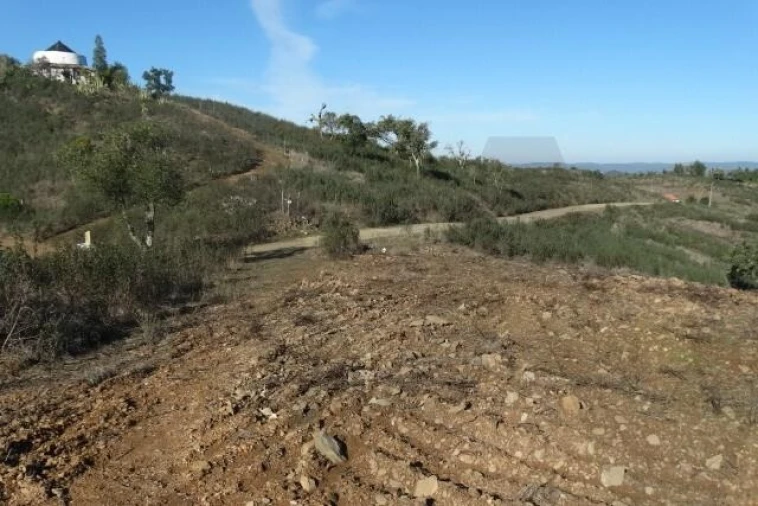 Terreno para Venda em Santana da Serra Foto 5