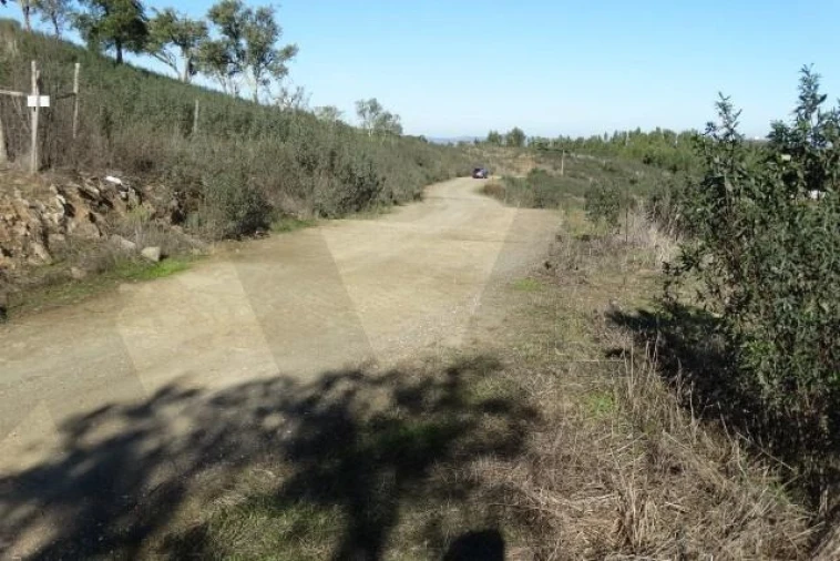 Terreno para Venda em Santana da Serra Foto 11