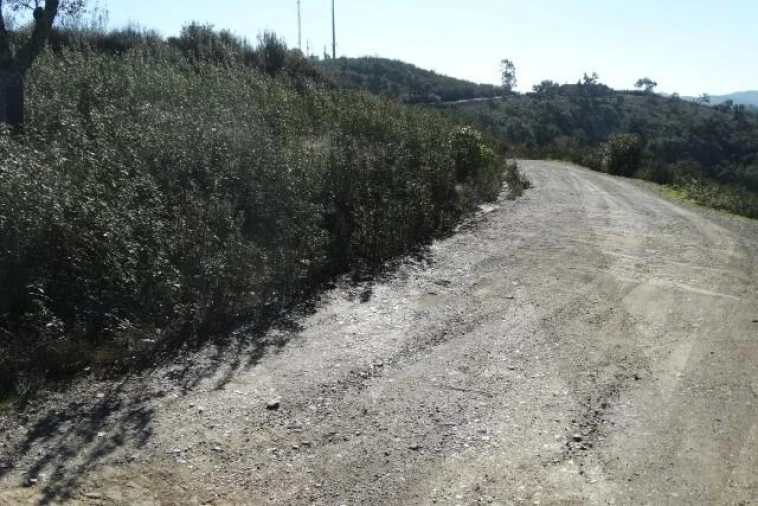 Terreno para Venda em Santana da Serra Foto 12