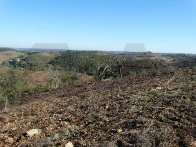 Terreno para Venda em Santana da Serra Foto 9