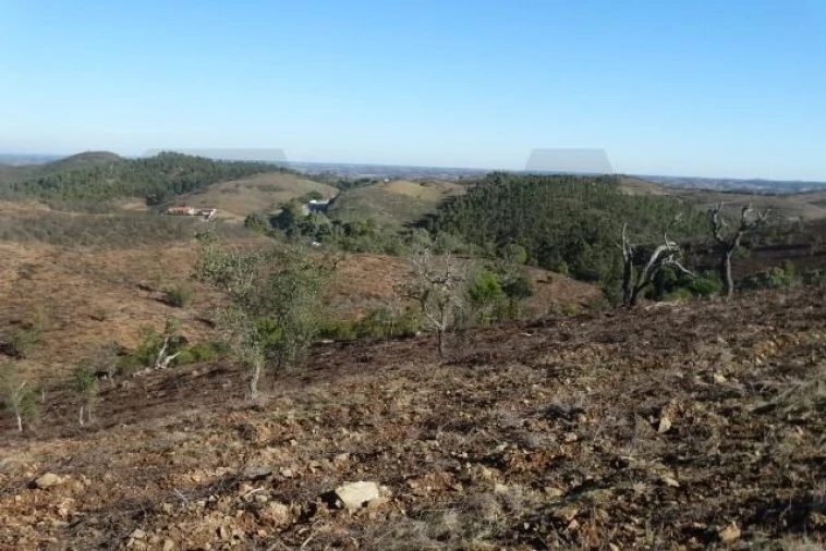 Terreno para Venda em Santana da Serra Foto 8