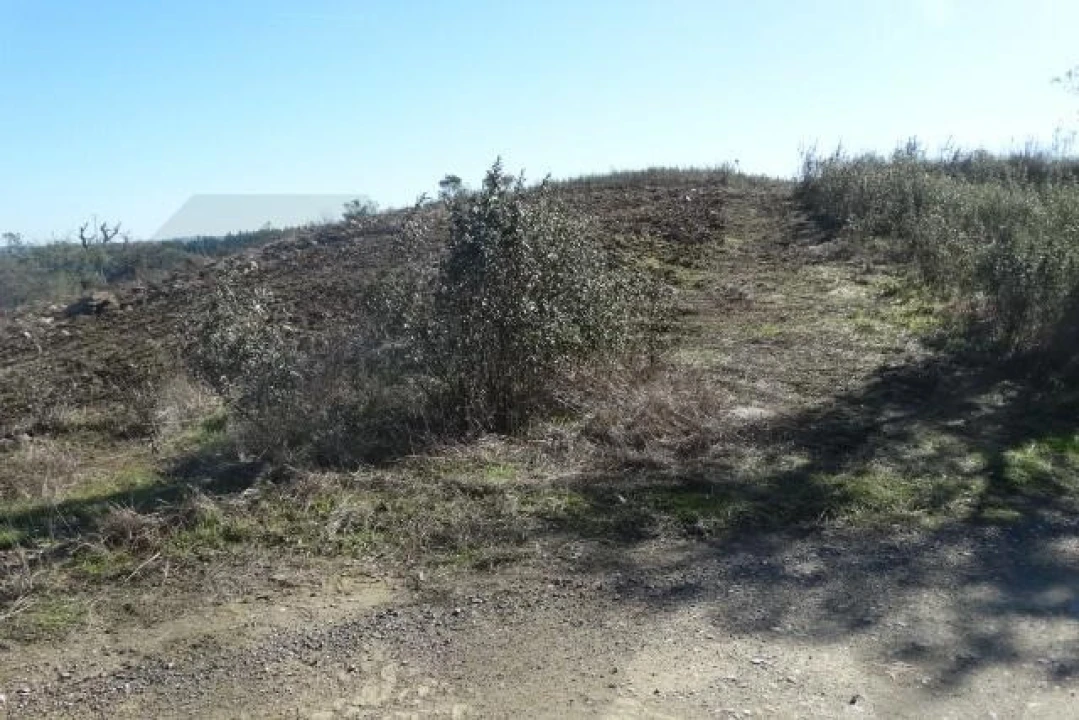 Terreno para Venda em Santana da Serra Foto 14