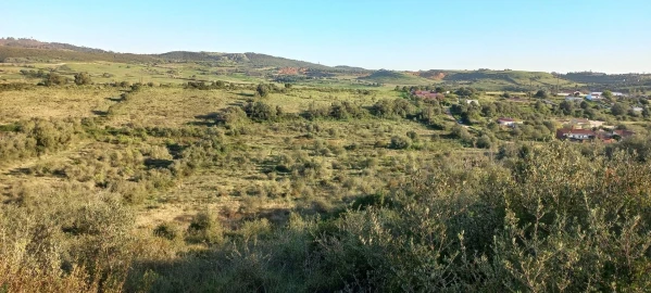 Terreno para Venda em Almargem do Bispo, Pêro Pinheiro e Montelavar