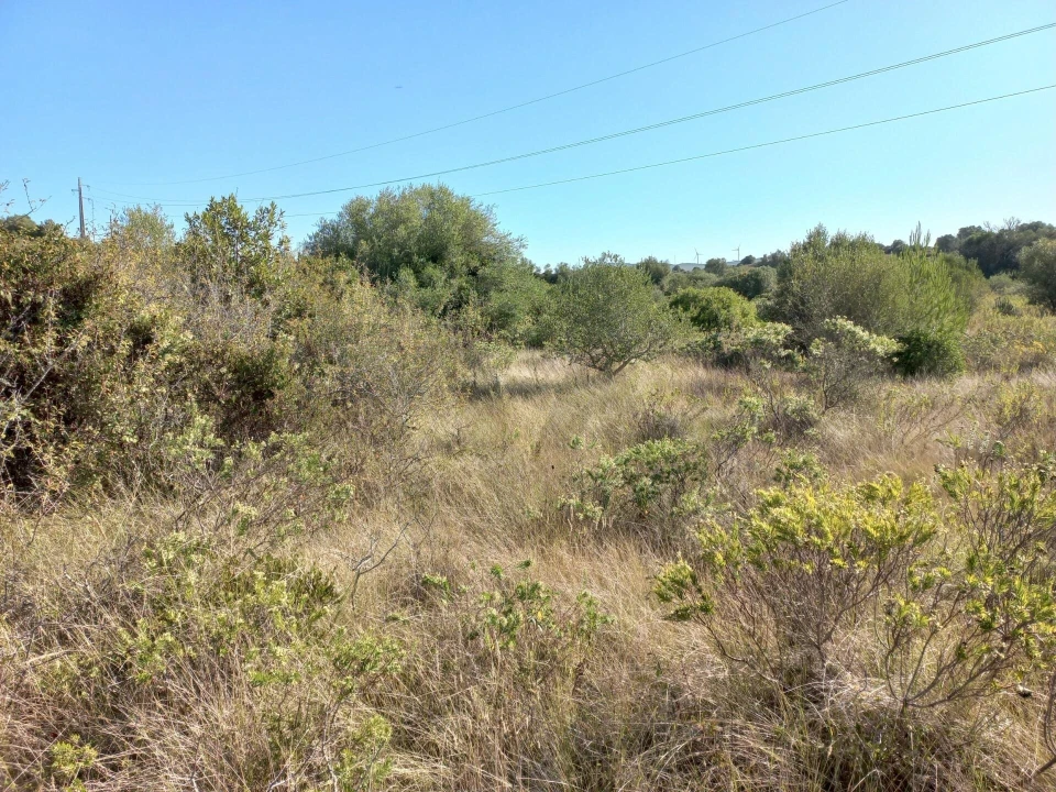 Terreno para Venda em Almargem do Bispo, Pêro Pinheiro e Montelavar Foto 7