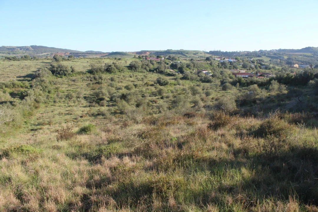 Terreno para Venda em Almargem do Bispo, Pêro Pinheiro e Montelavar Foto 21