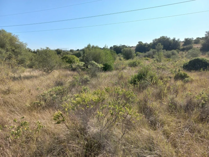 Terreno para Venda em Almargem do Bispo, Pêro Pinheiro e Montelavar Foto 8