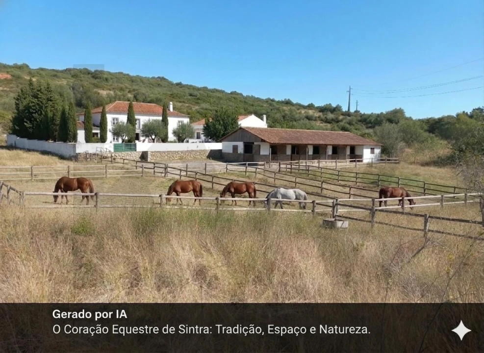 Terreno para Venda em Almargem do Bispo, Pêro Pinheiro e Montelavar Foto 8