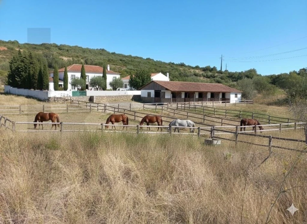 Terreno para Venda em Almargem do Bispo, Pêro Pinheiro e Montelavar Foto 14