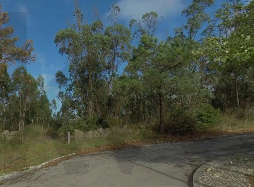 Terreno para Venda em Queluz e Belas Foto 10