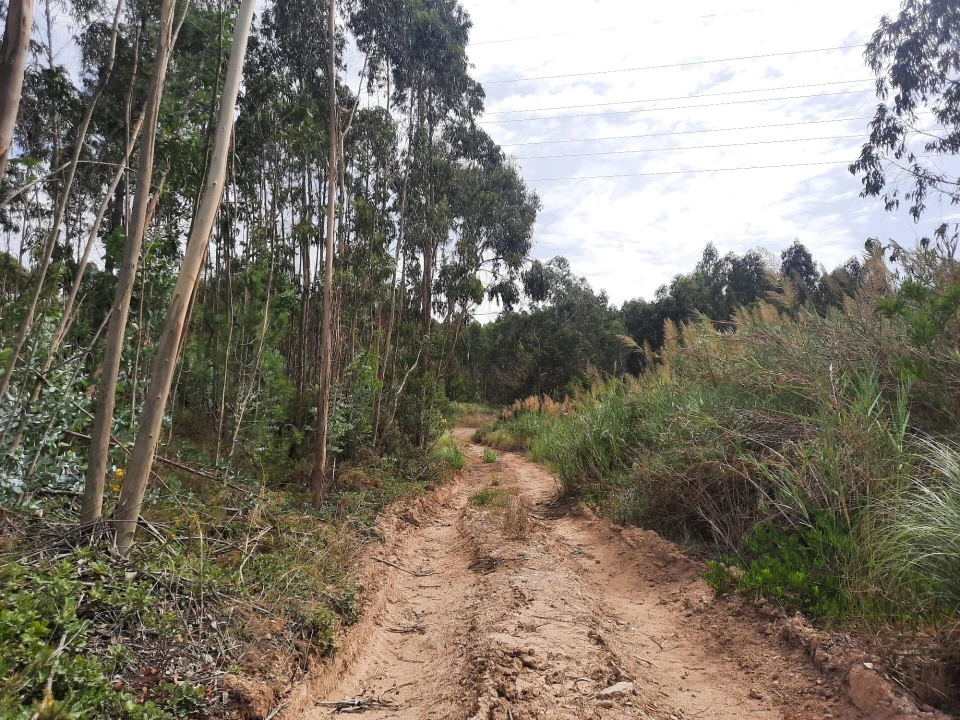 Terreno para Venda em Queluz e Belas Foto 5