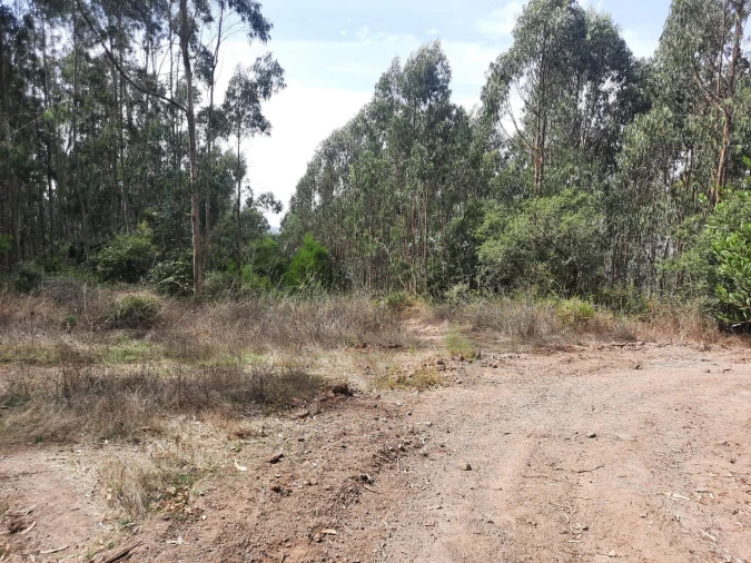 Terreno para Venda em Queluz e Belas Foto 5