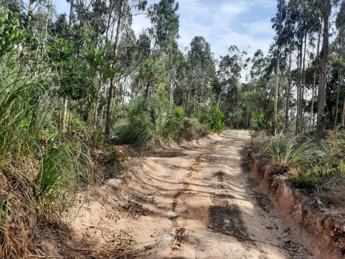 Terreno para Venda em Queluz e Belas Foto 6