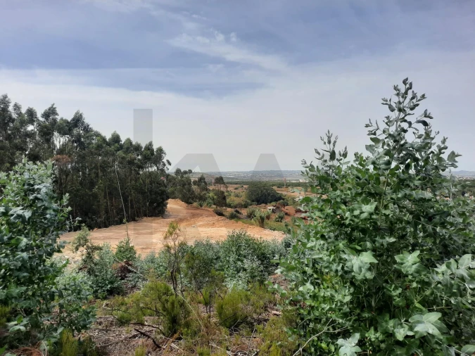 Terreno para Venda em Queluz e Belas Foto 8