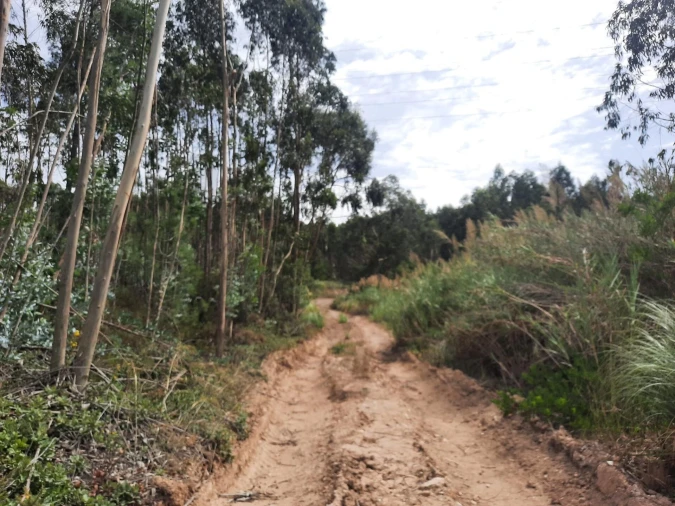 Terreno para Venda em Queluz e Belas Foto 9