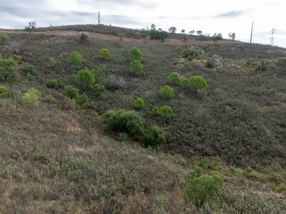 Terreno para Venda em São Brás de Alportel Foto 26