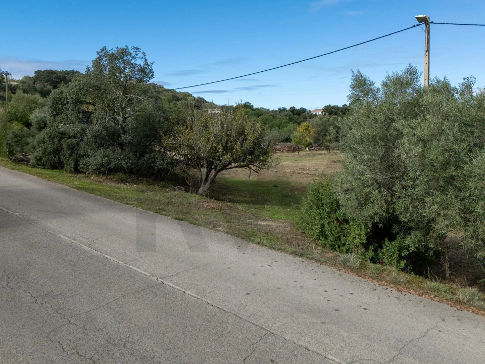 Terreno para Venda em São Brás de Alportel Foto 19