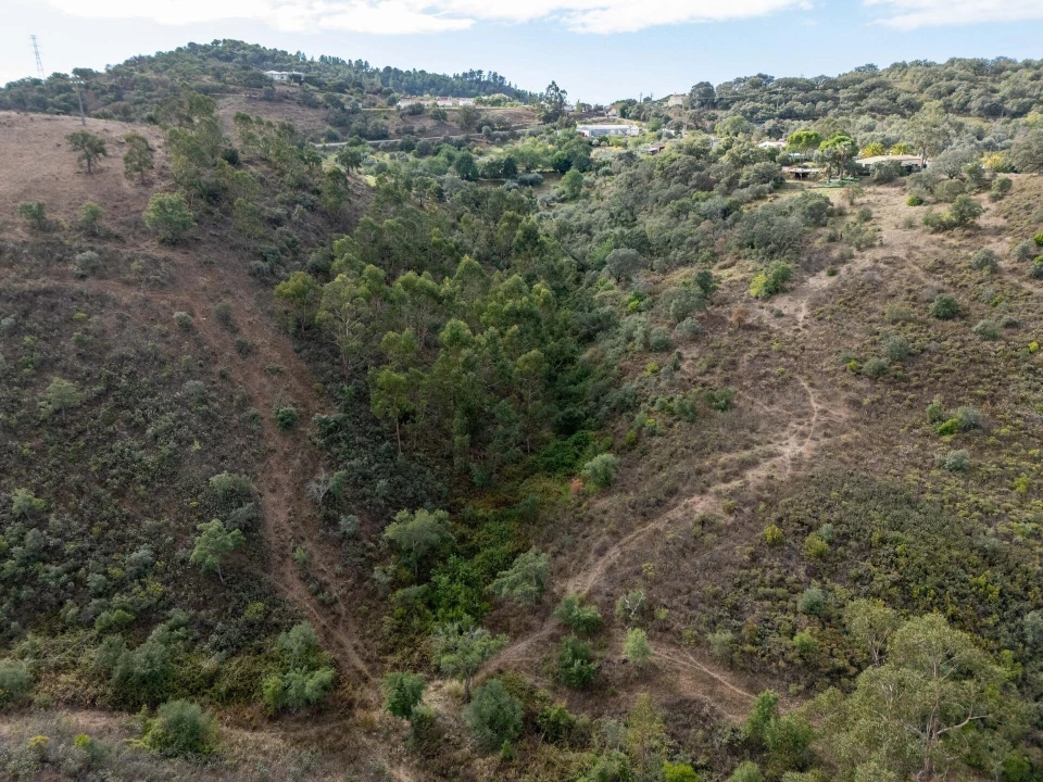 Terreno para Venda em São Brás de Alportel Foto 11