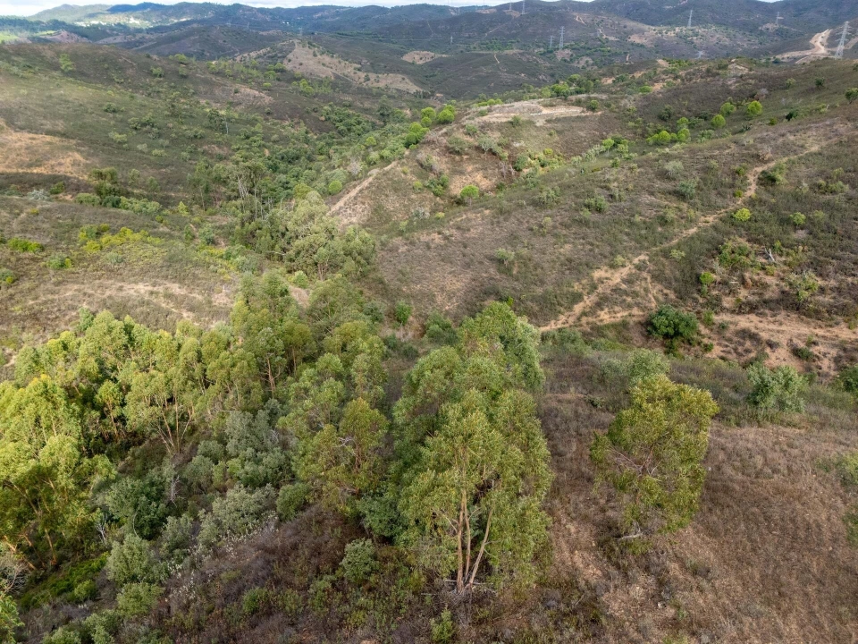 Terreno para Venda em São Brás de Alportel Foto 16