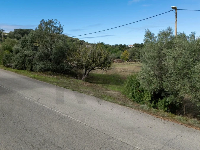 Terreno para Venda em São Brás de Alportel Foto 19