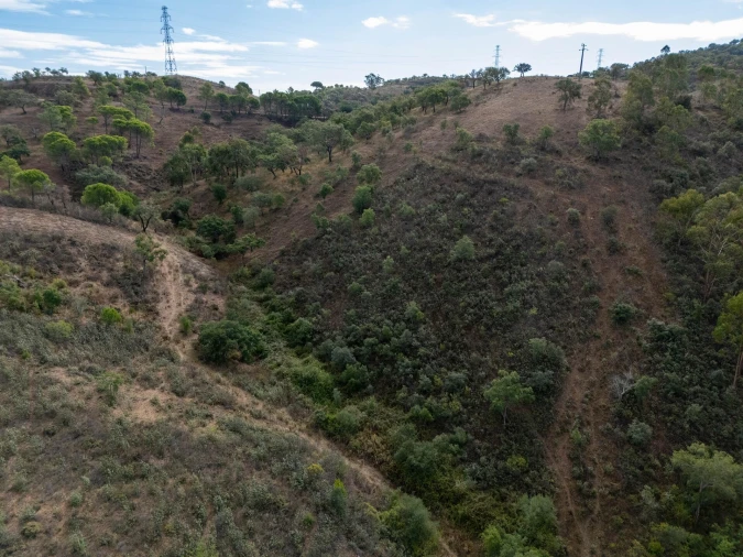 Terreno para Venda em São Brás de Alportel Foto 12