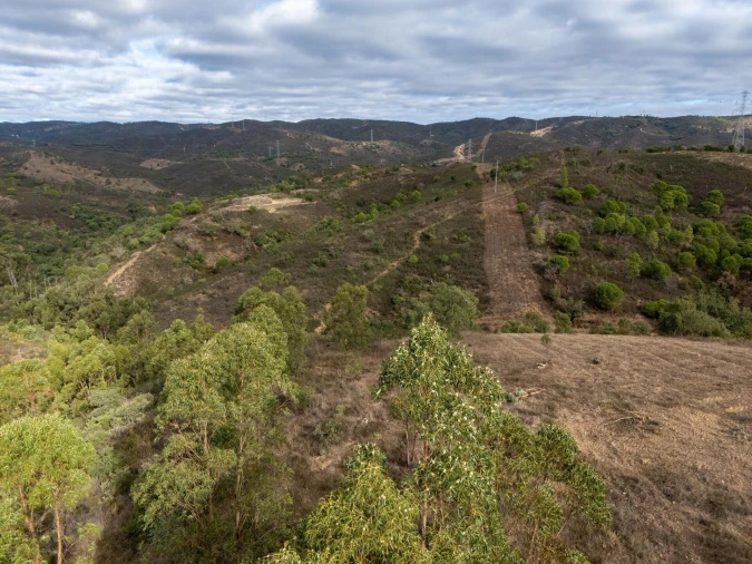 Terreno para Venda em São Brás de Alportel Foto 15